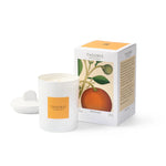 Load image into Gallery viewer, 100% Soy Wax Candle / Everyday /Pure Candle /Pureliving Theorie /Proudly Made In Canada

