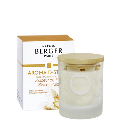 Maison Berger Candles -Vegan Wax(Soy)/Chateau De Versailles