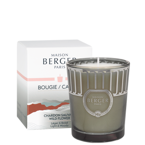 Maison Berger Candles -Vegan Wax(Soy)/Chateau De Versailles