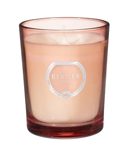 Maison Berger Candles -Vegan Wax(Soy)/Chateau De Versailles