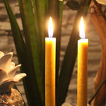 Load image into Gallery viewer, Tradition Candles-5 inch Punch (8ea box)/Natural Wax cylindrical Candles
