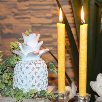 Tradition Candles-5 inch Punch (8ea box)/Natural Wax cylindrical Candles