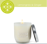 Load image into Gallery viewer, Aromabotanical Candles/Amethyst Reed Diffuser 9H(200ml)
