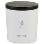 Load image into Gallery viewer, Archipelago Luxe Candle 13oz
